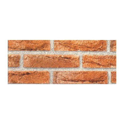 RT PLASTICA ADESIVA 280.2158 MATTONI ROS 2,5 M