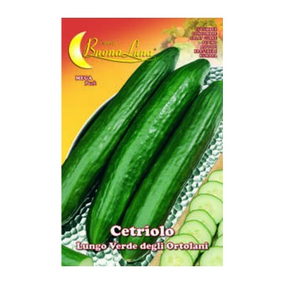 SEMI ORTO CETRIOLO VERDE