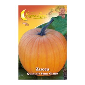 SEMI ORTO ZUCCA QUINTALE