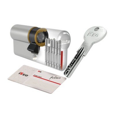 ISEO R6 PLUS CILINDRO NICHEL 100 MM 25.10.65 (30-70)