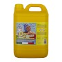 IGIENIZZANTE PER PISCINA S/CLORO MULTIATTIVO 5 L