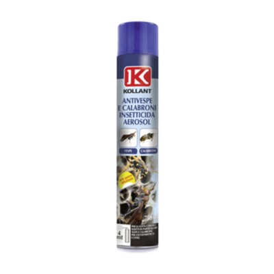 INSETTICIDA ANTIVESPE E CALABRONI AEROSOL 750 ML