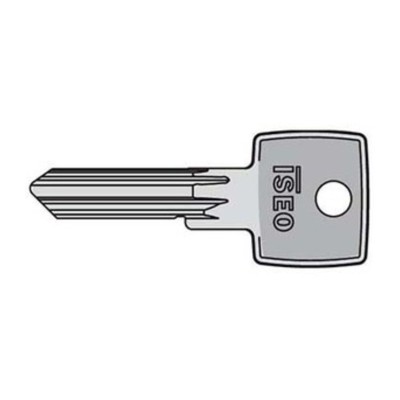 ISEO 020609 CHIAVE GREZZA P/LUCCHETTO P240