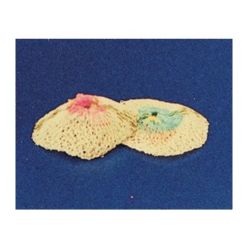 RETINA LAMPADA 100/200W RICAMBIO NON RADIATTIVA*