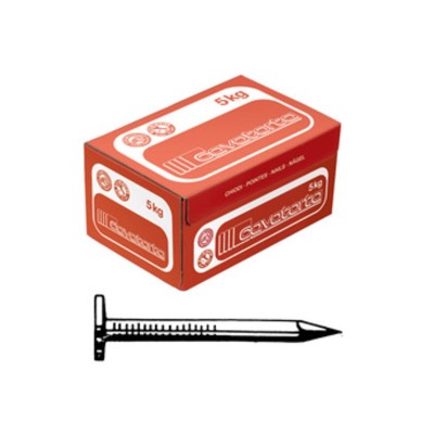 CHIODI TESTA PIANA LARGHISSIMA 17X25 CAVATORTA