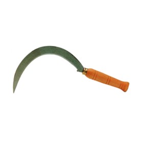 FALCIOLA DENTATA 2510 22,5 CM X 30 MM 7/0