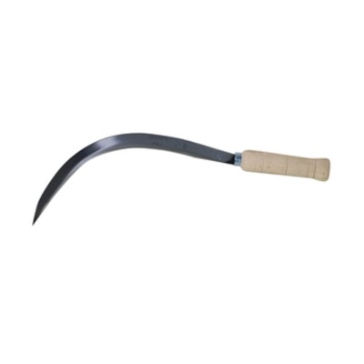 FALCIOLA DENTATA SORRENTO 2557 31 CM X 20 MM 4/0