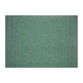 PASSATOIA PASSAT H 67 CM VERDE