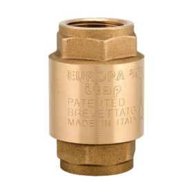 ITAP 100 VALVOLA RITEGNO EUROPA D 2