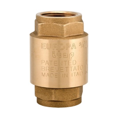 ITAP 100 VALVOLA RITEGNO EUROPA D 2