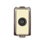 TONDO ECL 25481 PRESA TV COASSIALE