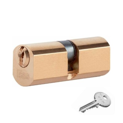 ISEO F5 8400 CILINDRO TONDO 54 MM (27+27) D.22