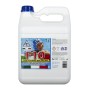 FLOCCULANTE PER PISCINA LIQUIDO F10 5 L