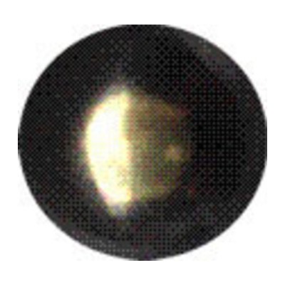 BULLETTA TAPPEZZIERE LISCIA BRON SFUM 9 MM 1000 PZ*