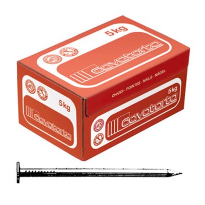 CHIODI TESTA PIANA 10X25 CAVATORTA