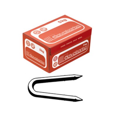 CHIODI CAMBRETTE 13X20 CAVATORTA