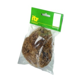 SPUGNA MARINA NATURALE 14 CM PER PITTURE SM