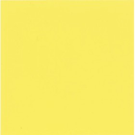 Aquatinta colorante per idropitture 150ml 301 giallo