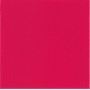 Aquatinta colorante per idropitture 150ml 308 rosso magenta