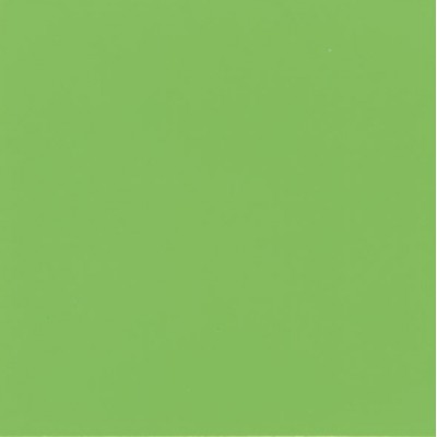 Aquatinta colorante per idropitture 150ml 311 verde primavera