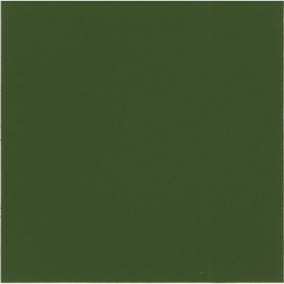 Aquatinta colorante per idropitture 150 ml. 313 verde oliva