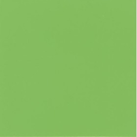 Aquatinta colorante per idropitture 40ml. 311 verde primavera