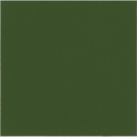 Aquatinta colorante per idropitture 40ml. 313 verde oliva