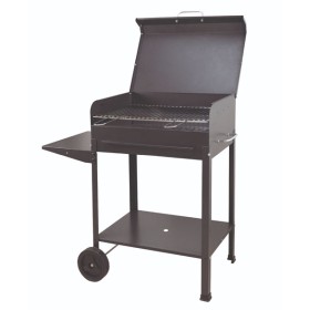 Barbecue vanessa con coperchio cm.50x40x90h