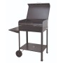 Barbecue vanessa con coperchio cm.50x40x90h