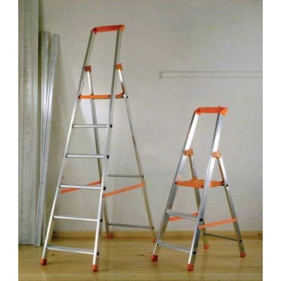 Scala profess.domest.allum.gr.7