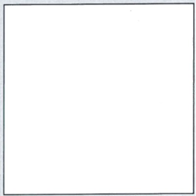 Plastica autoadesiva cm.45 bianco lucido