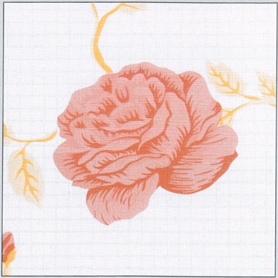 Plastica autoadesiva cm.45 art.10245