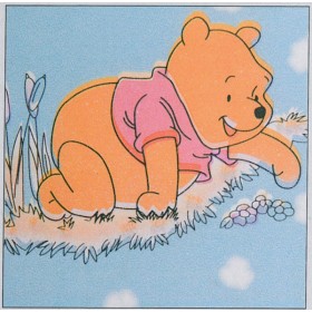 Plastica autoadesiva cm.45 art.10255