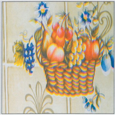 Plastica autoadesiva cm.45 art.18018