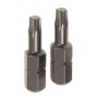 2 inserti per viti torx t40 25mm