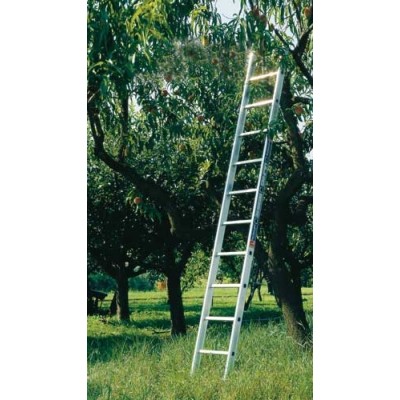 Scala singola allum.gr.16 mt.4,51