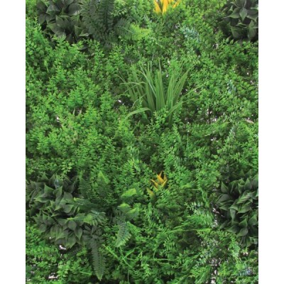 Sempreverde siepe verticale mt.1x1 decorativa da parete